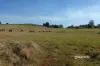 Lot 1 Camena Road, Natone, Tas 7321-Image