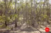 Lot 1 Curtis Road, Axe Creek, Vic 3551-Image