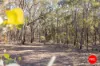Lot 1 Curtis Road, Axe Creek, Vic 3551-Image
