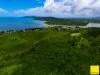 Lot 1, Flying Fish Point Road, Coconuts, Qld 4860-Image