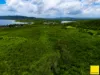 Lot 1, Flying Fish Point Road, Coconuts, Qld 4860-Image