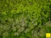 Lot 1, Flying Fish Point Road, Coconuts, Qld 4860-Image