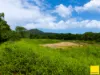 Lot 1, Flying Fish Point Road, Coconuts, Qld 4860-Image