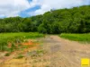 Lot 1, Flying Fish Point Road, Coconuts, Qld 4860-Image