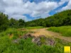 Lot 1, Flying Fish Point Road, Coconuts, Qld 4860-Image