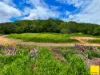 Lot 1, Flying Fish Point Road, Coconuts, Qld 4860-Image