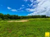 Lot 1, Flying Fish Point Road, Coconuts, Qld 4860-Image