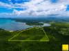 Lot 1, Flying Fish Point Road, Coconuts, Qld 4860-Image