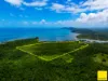Lot 1, Flying Fish Point Road, Coconuts, Qld 4860-Image