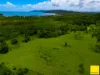 Lot 1, Flying Fish Point Road, Coconuts, Qld 4860-Image