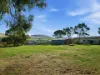 Lot 1 Grace Street, Hamilton, Tas 7140-Image