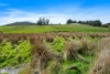 Lot 1 Huon Highway, Dover, Tas 7117-Image