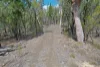 Lot 1  Kimberley Drive, Cypress Gardens, Qld 4357-Image