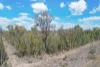 Lot 1  Kimberley Drive, Cypress Gardens, Qld 4357-Image