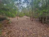 Lot 1, Link Road, Lonnavale, Tas 7109