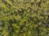 Lot 1, Link Road, Lonnavale, Tas 7109-Image