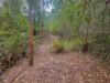 Lot 1, Link Road, Lonnavale, Tas 7109-Image