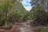 Lot 1, Link Road, Lonnavale, Tas 7109-Image
