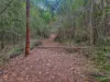 Lot 1, Link Road, Lonnavale, Tas 7109-Image