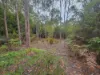 Lot 1, Link Road, Lonnavale, Tas 7109-Image