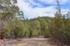 Lot 1, Link Road, Lonnavale, Tas 7109-Image