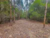Lot 1, Link Road, Lonnavale, Tas 7109-Image