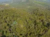 Lot 1, Link Road, Lonnavale, Tas 7109-Image