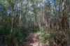Lot 1, Link Road, Lonnavale, Tas 7109-Image