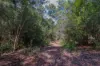 Lot 1, Link Road, Lonnavale, Tas 7109-Image