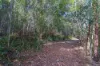 Lot 1, Link Road, Lonnavale, Tas 7109-Image