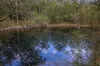 Lot 1, Link Road, Lonnavale, Tas 7109-Image