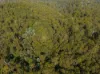 Lot 1, Link Road, Lonnavale, Tas 7109-Image