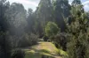 Lot 1, Lyell Highway, Derwent Bridge, Tas 7140-Image
