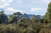 Lot 1, Lyell Highway, Derwent Bridge, Tas 7140-Image