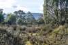 Lot 1, Lyell Highway, Derwent Bridge, Tas 7140-Image