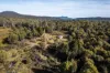 Lot 1, Lyell Highway, Derwent Bridge, Tas 7140-Image
