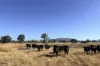 Lot 1 Midland Highway, Mansfield, Vic 3722-Image