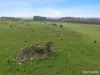 Lot 1, Old Aerodrome Road, Low Head, Tas 7253-Image