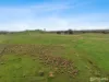 Lot 1, Old Aerodrome Road, Low Head, Tas 7253-Image