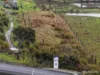 Lot 1, Old Aerodrome Road, Low Head, Tas 7253-Image