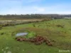 Lot 1, Old Aerodrome Road, Low Head, Tas 7253-Image