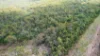 Lot 1, Old Dairy Rd, Cooktown, Qld 4895-Image