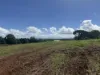 Lot 1, Peeramon Road, Peeramon, Qld 4885-Image
