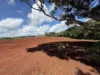 Lot 1, Peeramon Road, Peeramon, Qld 4885-Image