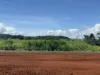 Lot 1, Peeramon Road, Peeramon, Qld 4885-Image