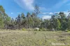 Lot 1 Phipps Road, Runnymede, Tas 7190-Image