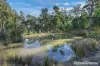 Lot 1 Phipps Road, Runnymede, Tas 7190-Image