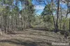 Lot 1 Phipps Road, Runnymede, Tas 7190-Image
