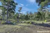 Lot 1 Phipps Road, Runnymede, Tas 7190-Image