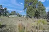Lot 1 Phipps Road, Runnymede, Tas 7190-Image